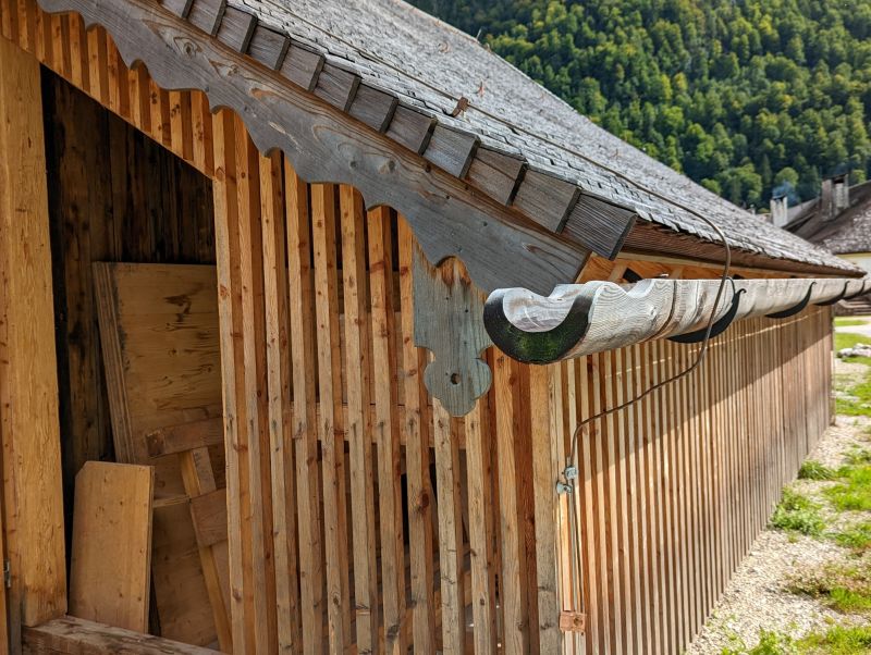 Consult with Local Experts